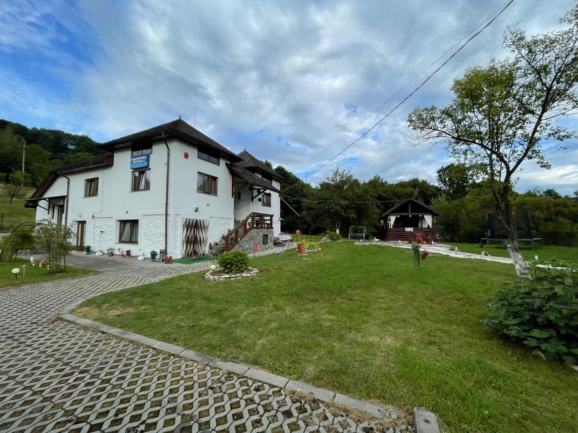 Pensiunea Nituca Moisei Exterior photo
