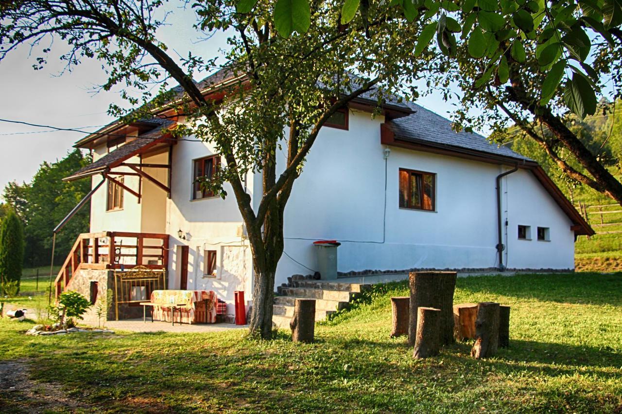 Pensiunea Nituca Moisei Exterior photo
